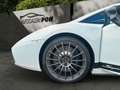 Lamborghini Gallardo 5.0 Superleggera LP530 / 1of619 Weiß - thumbnail 14