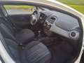 Fiat Punto Evo Punto  Evo 5p 1.3 mjt Dynamic 75cv Bianco - thumbnail 4