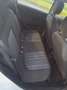 Fiat Punto Evo Punto  Evo 5p 1.3 mjt Dynamic 75cv Bianco - thumbnail 5