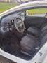 Fiat Punto Evo Punto  Evo 5p 1.3 mjt Dynamic 75cv Bianco - thumbnail 7