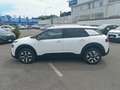 Citroen C4 Cactus PureTech 110 S&S Shine EAT6 Bianco - thumbnail 2