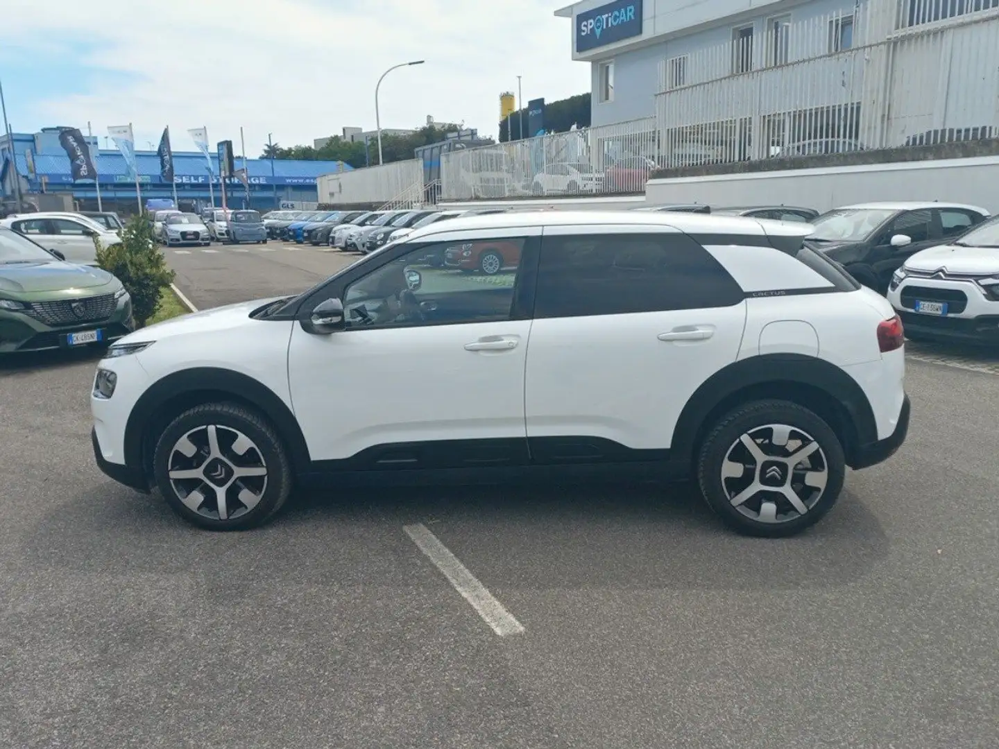 Citroen C4 Cactus PureTech 110 S&S Shine EAT6 Bianco - 2