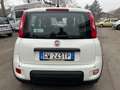 Fiat Panda Pandina III 2024 Pandina 1.0 firefly hybrid s Weiß - thumbnail 5