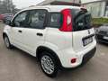 Fiat Panda Pandina III 2024 Pandina 1.0 firefly hybrid s Weiß - thumbnail 6