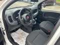Fiat Panda Pandina III 2024 Pandina 1.0 firefly hybrid s Weiß - thumbnail 7
