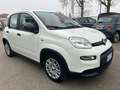 Fiat Panda Pandina III 2024 Pandina 1.0 firefly hybrid s Weiß - thumbnail 3