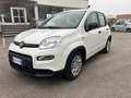Fiat Panda Pandina III 2024 Pandina 1.0 firefly hybrid s Weiß - thumbnail 1