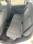Fiat Panda Pandina III 2024 Pandina 1.0 firefly hybrid s Weiß - thumbnail 8