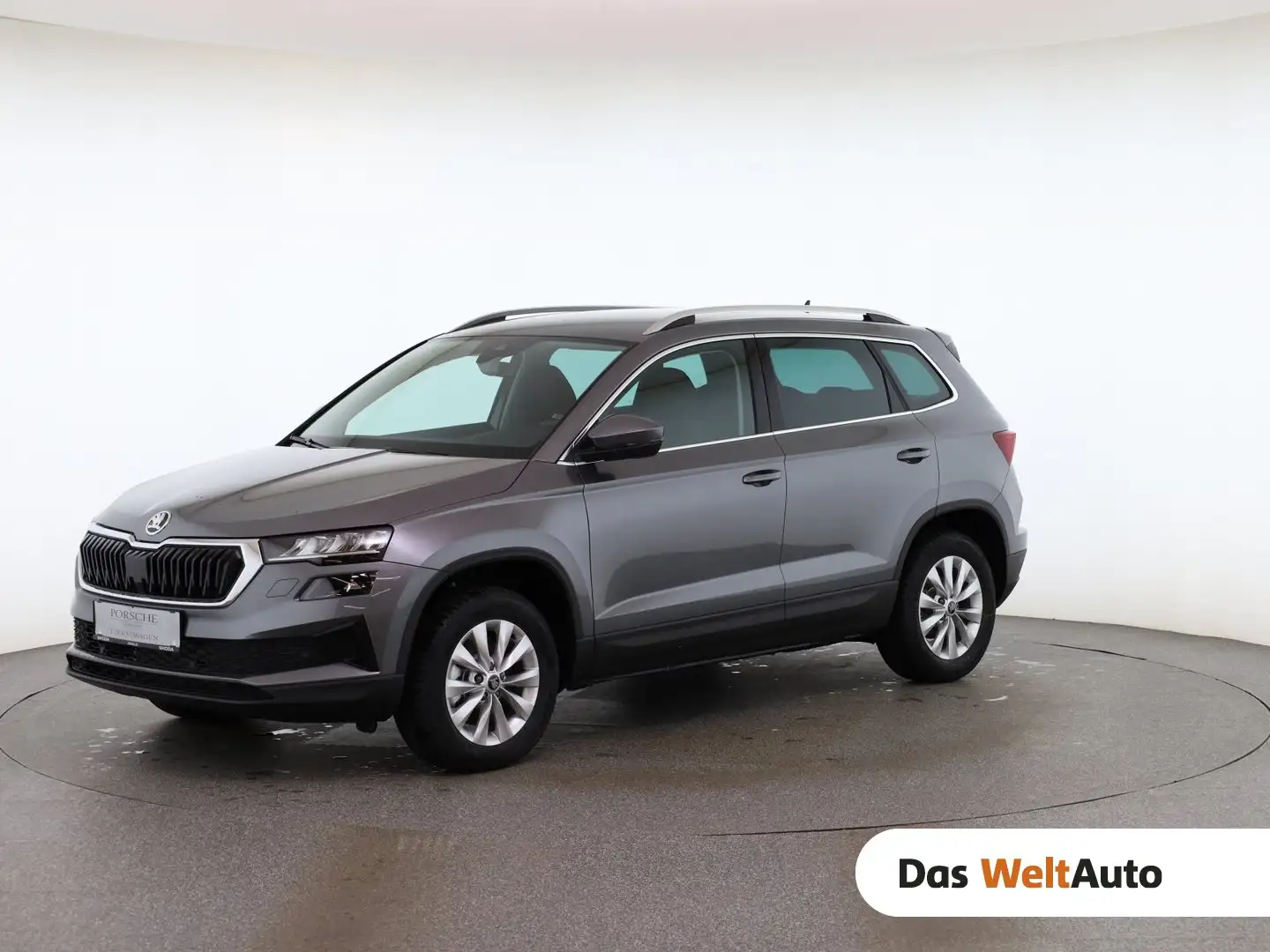 Skoda Karoq 4x4 Selection TDI DSG Grau - 1