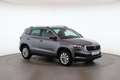 Skoda Karoq 4x4 Selection TDI DSG Grau - thumbnail 3