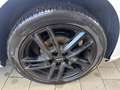 SEAT Ibiza Ibiza 1,0 TSI Reference Reference Weiß - thumbnail 7