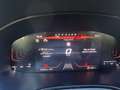 SEAT Ibiza Ibiza 1,0 TSI Reference Reference Weiß - thumbnail 9