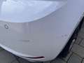 SEAT Ibiza Ibiza 1,0 TSI Reference Reference Weiß - thumbnail 6