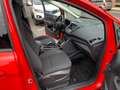 Ford C-Max C-Max7 1.5 Business solo 39000KM Rosso - thumbnail 8