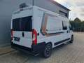 Weinsberg CaraBus 600 MQ - Dachklima, LED - UVP: 68.853€ Blanc - thumbnail 10
