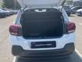 Citroen C3 BlueHDi 100 S&S Business Combi Bianco - thumbnail 4
