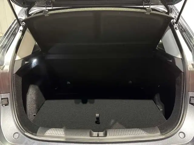 MG ZS view 7