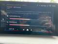 BMW X1 xDrive20d Head-Up LED RFK Lenkradhzg Parking Plus Weiß - thumbnail 15