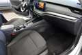 Skoda Octavia Combi 2,0 TDI 4x4 Ambition DSG Gris - thumbnail 12