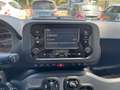 Fiat Panda 1.0 firefly hybrid s&s 70cv - thumbnail 5