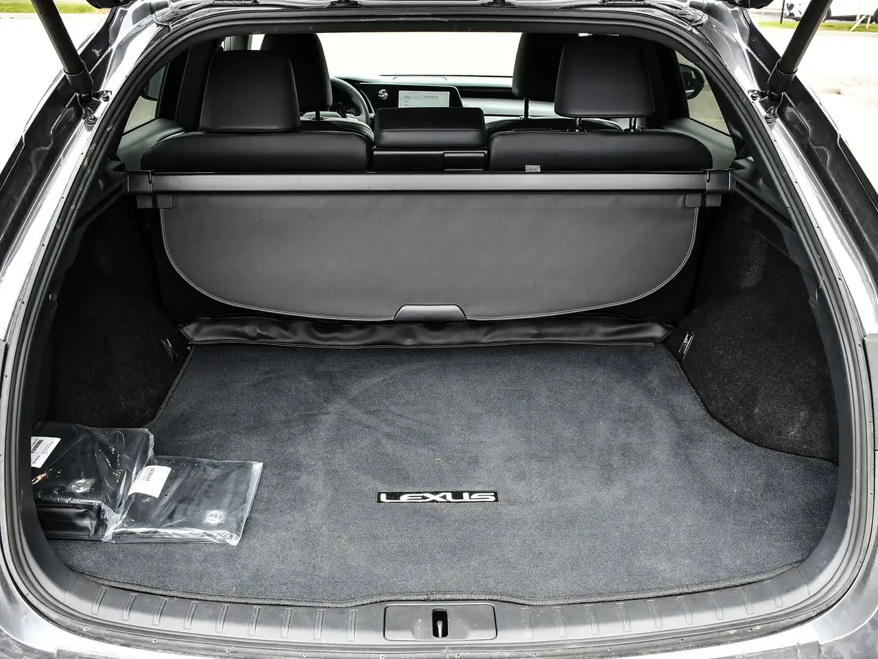 Lexus RX снимка Lexus RX