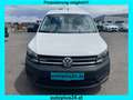 Volkswagen Caddy  Maxi 4Motion 2.0 TDI BMT Kasten *SORTIMO Weiß - thumbnail 2