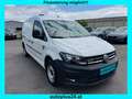 Volkswagen Caddy  Maxi 4Motion 2.0 TDI BMT Kasten *SORTIMO Weiß - thumbnail 3