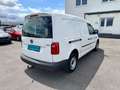 Volkswagen Caddy  Maxi 4Motion 2.0 TDI BMT Kasten *SORTIMO Weiß - thumbnail 4