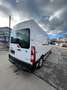 Nissan NV400 Kastenwagen L2H2 3,5t DoKa 7 sitzer Weiß - thumbnail 4