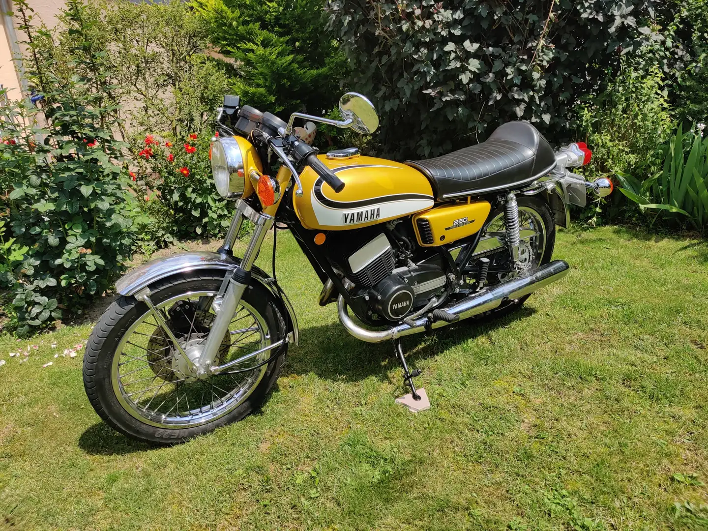 Yamaha RD 250 Typ 352 Modell 1973 Zlatna - 1