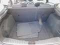 Ford Focus 1.6 TDCi Titanium Xenon/AHZ/Sony/Blis/PDC Braun - thumbnail 19