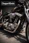 Harley-Davidson Sportster 883 Chopper - thumbnail 2