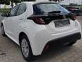 Toyota Yaris Comfort, Allwetter, ACC, Kamera, Carplay, DAB uvm. Blanco - thumbnail 4