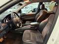 Mercedes-Benz ML 350 M-klasse / SUPER NETJES / NAP / DEALER ONDERHOUDEN Blanc - thumbnail 28