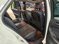 Mercedes-Benz ML 350 M-klasse / SUPER NETJES / NAP / DEALER ONDERHOUDEN Blanc - thumbnail 26