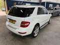 Mercedes-Benz ML 350 M-klasse / SUPER NETJES / NAP / DEALER ONDERHOUDEN Blanc - thumbnail 9
