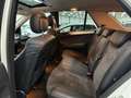Mercedes-Benz ML 350 M-klasse / SUPER NETJES / NAP / DEALER ONDERHOUDEN Blanc - thumbnail 19