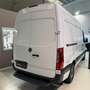 Mercedes-Benz Sprinter 311 F 37/33 PRO RWD TA - Tagliandi Certificati Weiß - thumbnail 3
