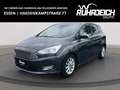 Ford C-Max Titanium 1.0 AHK PDC KAMERA SHZ LHZ KLIMAAT Grau - thumbnail 1