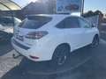Lexus RX 450h 3.5 V6 299 AWD F SPORT E-CVT - thumbnail 4