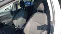 Ford Focus ACTIVE 1.0 ECOBOOST 125CV CO-PILOT SW AUTO Bianco - thumbnail 10