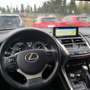 Lexus NX 300 300h Executive Navigation 4WD Azul - thumbnail 13