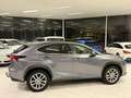 Lexus NX 300h 2.5I Hybrid Electric 114KW Euro 6B Année 2017 Grijs - thumbnail 5