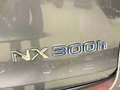 Lexus NX 300h 2.5I Hybrid Electric 114KW Euro 6B Année 2017 Grijs - thumbnail 10
