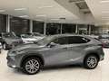 Lexus NX 300h 2.5I Hybrid Electric 114KW Euro 6B Année 2017 Grijs - thumbnail 6