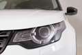 Land Rover Discovery Sport 2.0 TD4 150 CV SE Wit - thumbnail 19
