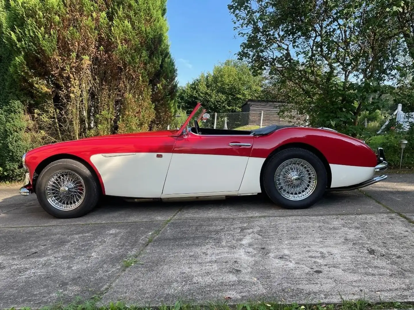Austin-Healey 3000 Mk 1  BN7 Rojo - 2