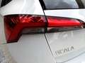 Skoda Scala 1.0 TSI TOUR 5JG+LED+APP+GRA+SHZ+PDC+NSW Weiß - thumbnail 16