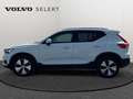 Volvo XC40 T3 Momentum / Essence Blanc - thumbnail 4