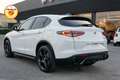 Alfa Romeo Stelvio 2.0 280cv t Veloce Q4 Pack Harman & Kardon TETTO Weiß - thumbnail 19